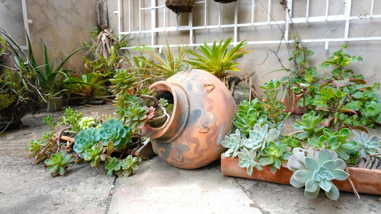 Casa Kuelap Hostal Chachapoyas Exterior foto